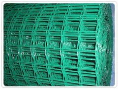 荷兰网批发市场分析与采购指南